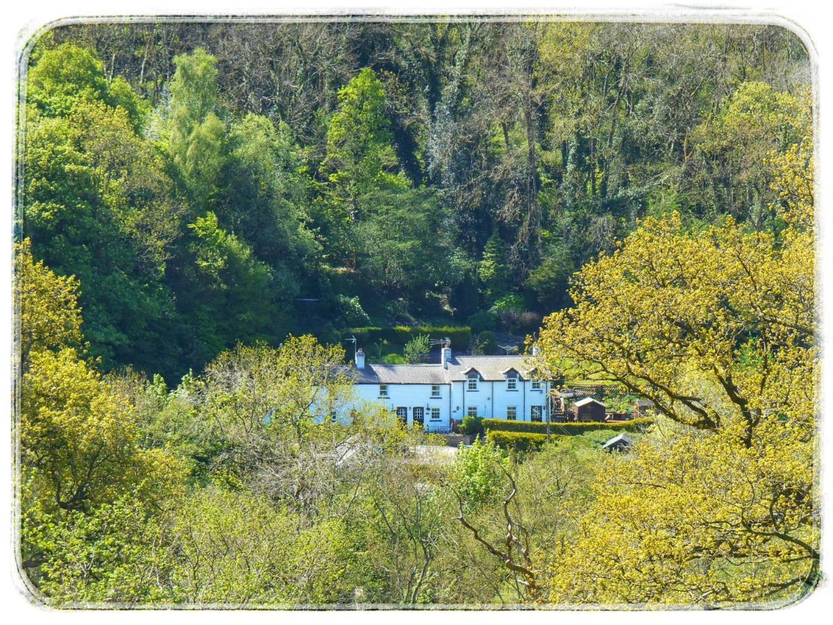 River Cottage St Asaph Exterior photo